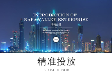 精准投放